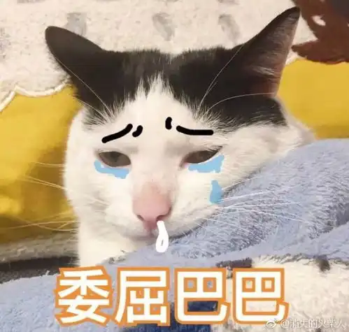 看到这条推送的你,你妈催你睡觉了吗
