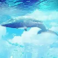 鲸落唯美图片动漫鲸落的唯美图片
