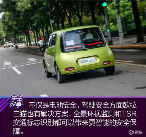 猫系青年的欧拉白猫深度吸猫指南
