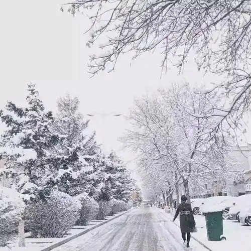 既然车比人慢,我情愿做一回风雪夜归人
