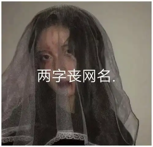 丧系网名我们在黑暗中并肩而行,走在各自的朝圣路上

