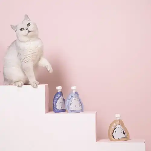 事实证明,猫仪式感和少女心起来,就没人什么事儿了
