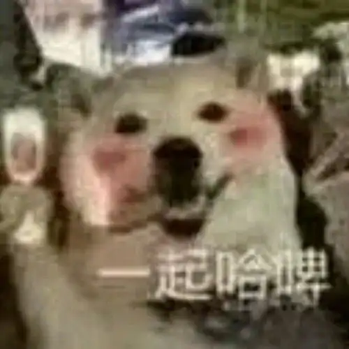 情侣分手的奇葩理由,男友说怀了我的孩子
