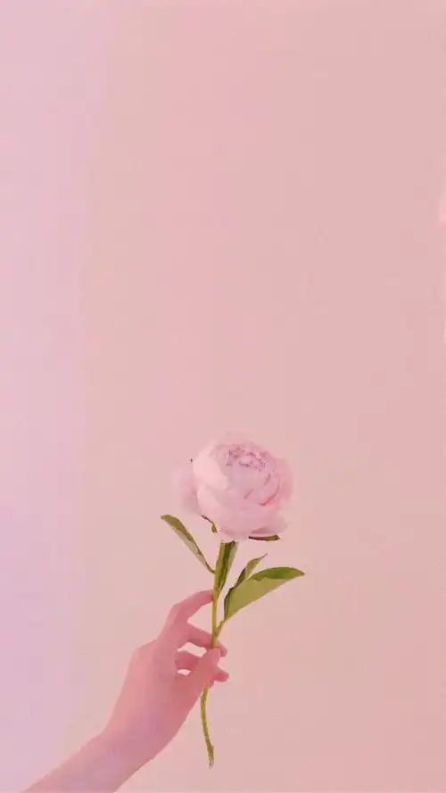 壁纸不是双向的奔赴毫无意义
