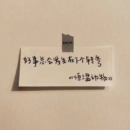 近期特别喜欢的日常杂系文案
