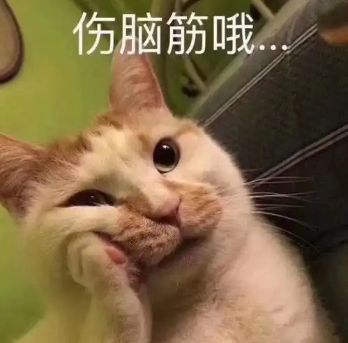 女孩养猫十天后秃头,原来是猫癣惹的祸,如何治疗和预防猫癣
