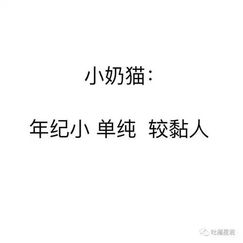 小奶狗男朋友vs小奶猫女友
