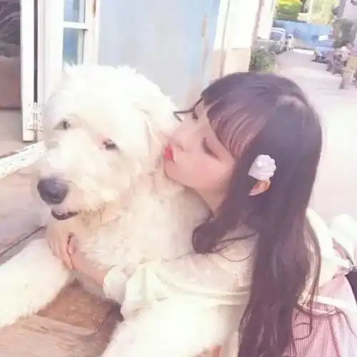 女生头像小清新可爱的女生头像
