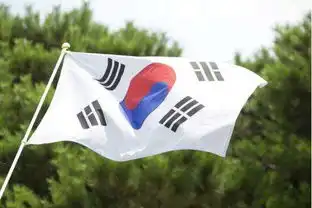 另一种危机袭来韩国将无人国空12年花了100多万亿没啥效果
