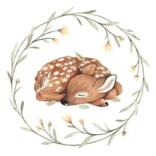 治愈系插画cr.ninastajner
