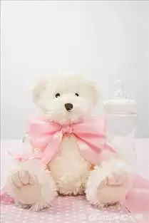 泰迪熊
