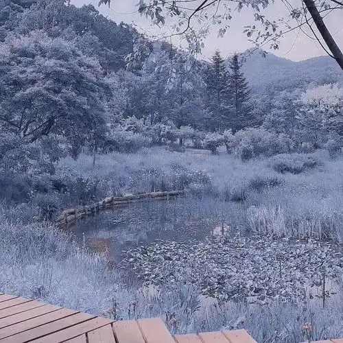 蓝色背景图凡是过往,皆为序章
