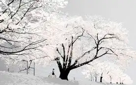 httpimgsrc.baidu.comforumpicitem1ad5ad6eddc451da1836066bb6fd5266d1163269.jpg寒冰king的收集

