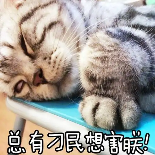尊敬的观众老爷们惜别几天卧薪尝胆,再呈现给大家好的作品啦,敬请期待

