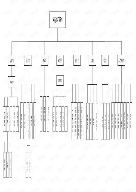 品牌电商组织架构图.pdf资源csdn文库
