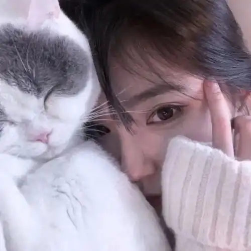 等一个人的小红点,女生头像
