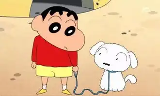 中文版千与千寻配音为什么与日文版配音差别大
