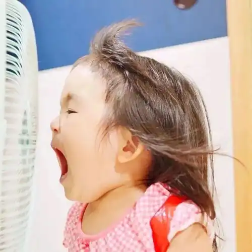 头像无心风月,独钟自己
