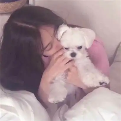 qq伤感女生头像,丢失了一抹清冷
