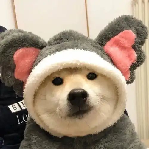 头像丨搞怪头像
