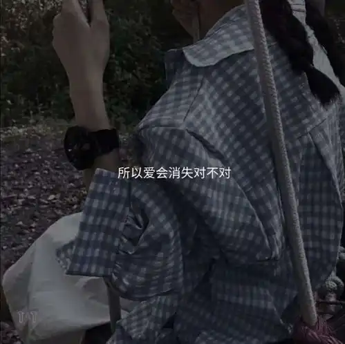 壁纸君文字控带字插图

