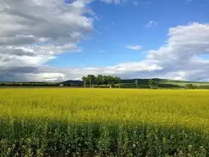 深入草原腹地,呼伦贝尔自由行
