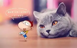 有一种爱叫隔着屏幕守望,云养猫只是因为不想亏待它
