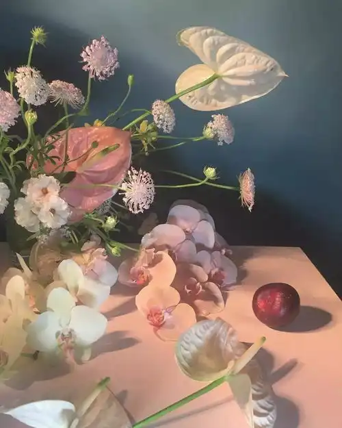 狮子座的守护之花,花烛,可盐可甜可霸气
