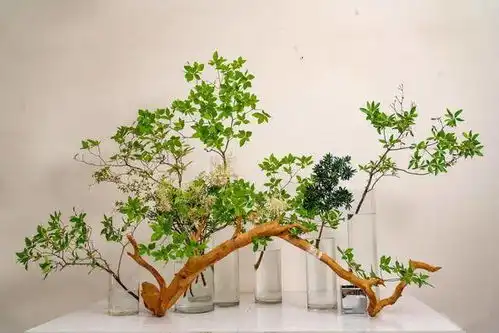 可盐可甜空间花艺绿植造景设计与应用市场

