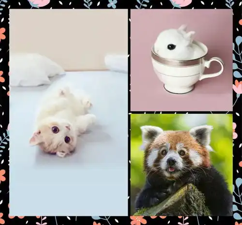 美甲你对萌系生物有抵抗力吗
