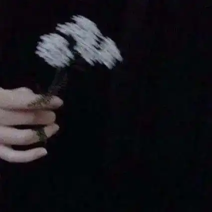 黑色系背景图丨要常说我爱你.人们总是忘记
