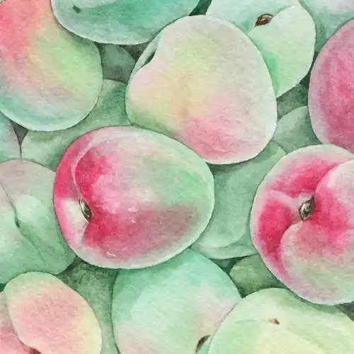 层叠平铺的水彩小物,清新治愈系水彩插画
