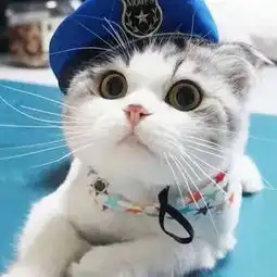劵妈妈真好
