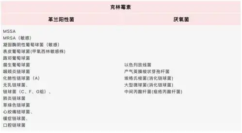 说明书探秘克林霉素真能治疗泌尿系感染吗
