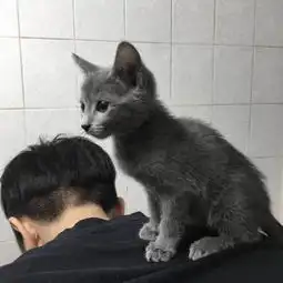 如果活着让你感到痛苦,你还会活着吗
