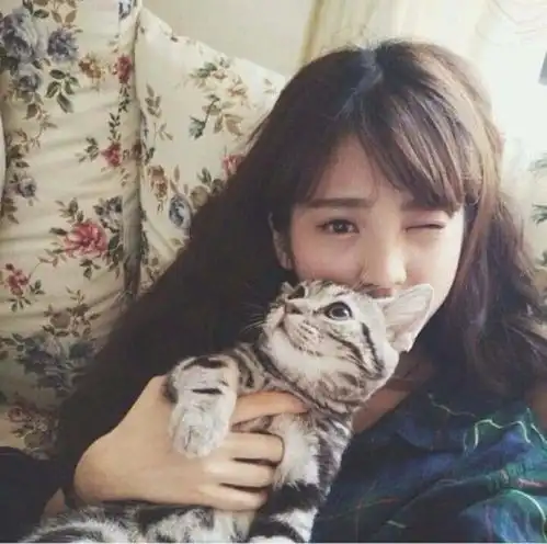 假期把猫独自放家几天,回来后猫咪这样
