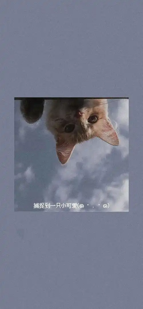 复古头像壁纸原宿港风壁纸复古森系小清新壁纸复古头像女可爱小清新好看馆
