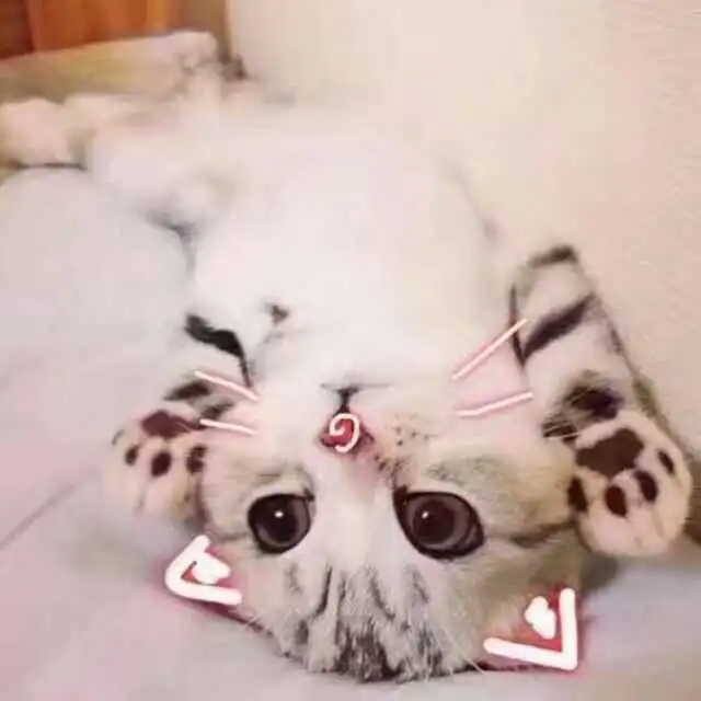 有哪些专用于撩妹撩汉的表情图
