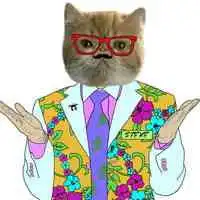 好看又有个性的微信卡通猫头像图片
