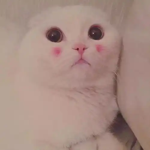 手指也会害羞傲娇少女的腮红美甲

