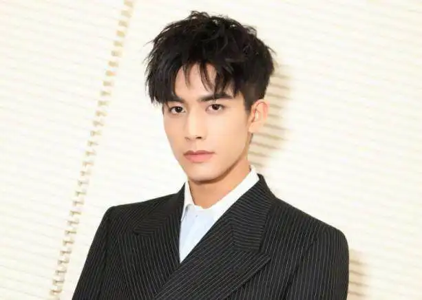 佛系宋威龙现实中的他怕是真正的容止吧

