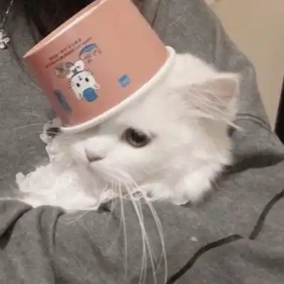女生微信头像
