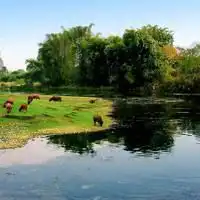 世界上最美的风景微信头像图片微信头像图片大全
