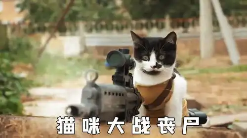 丧尸攻城人类即将灭亡,猫咪们看不下去了,高智商团灭丧尸电影种草指南大赛

