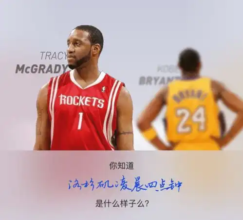 tob设计系统在平平淡淡中开花结果
