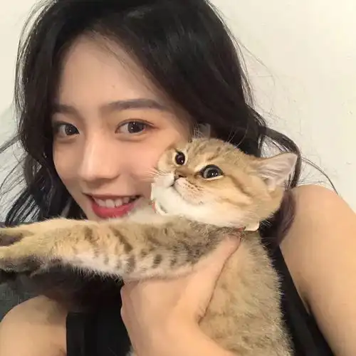 ins抱猫限定头像
