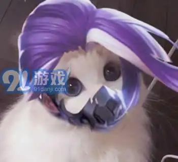 王者荣耀猫咪接头头像制作软件app下载手机安卓版王者荣耀猫咪接头头像制作软件app下载免费版91手游网
