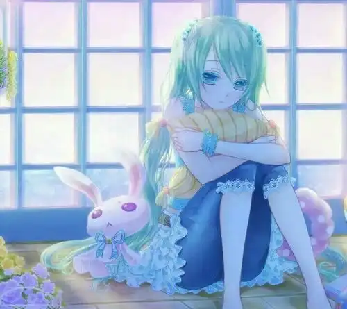 初音的粉丝
