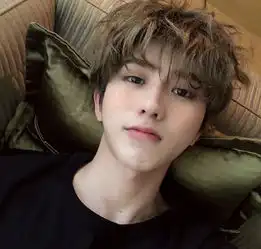 人无完人抖森的大脑门林俊杰婴儿肥蔡徐坤麻子脸还有谁
