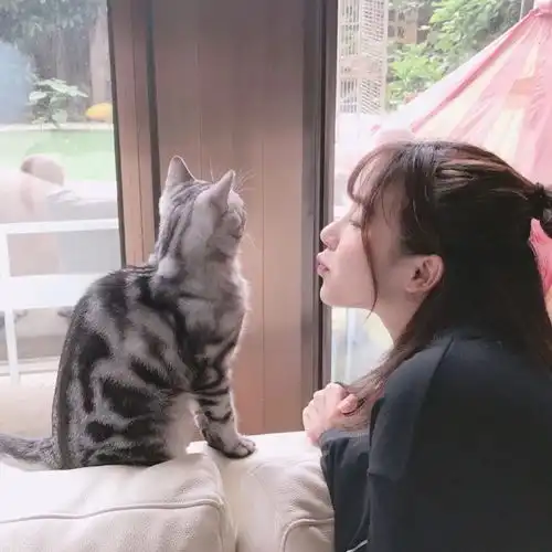 女生抱宠丨被爱的人永远不知道,爱你的人有多么辛苦
